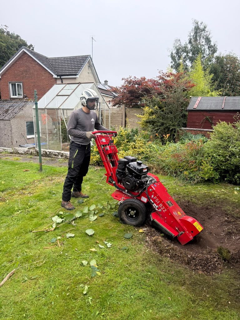 ArArborist (Alfonso) grinding a tree stump