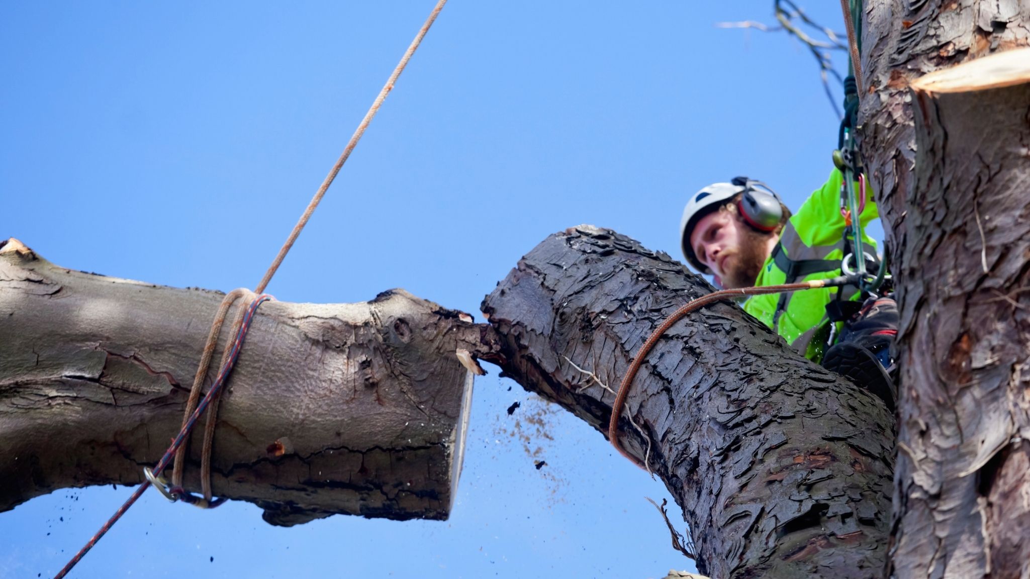 Olive Tree Surgery Glasgow